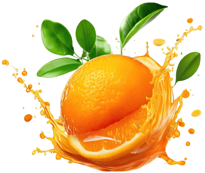 Image-ss3-h5 Image-ss3-h5