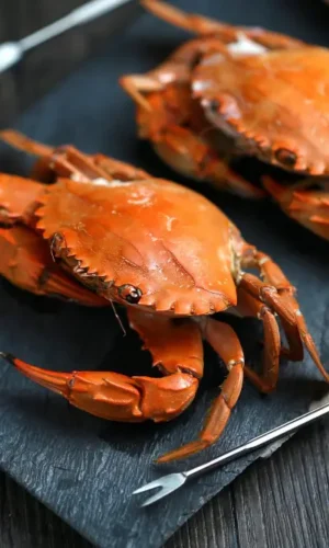 menu-sea-food-img2 menu-sea-food-img2